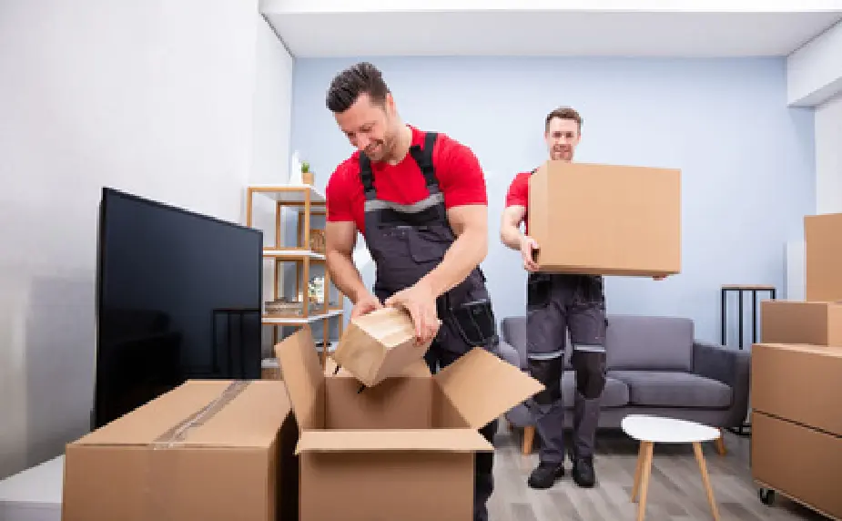 We Have Personalized Solutions for Any Transition